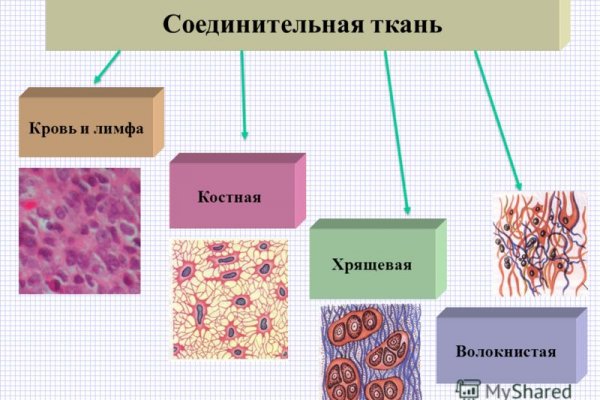 Кракен тор браузер